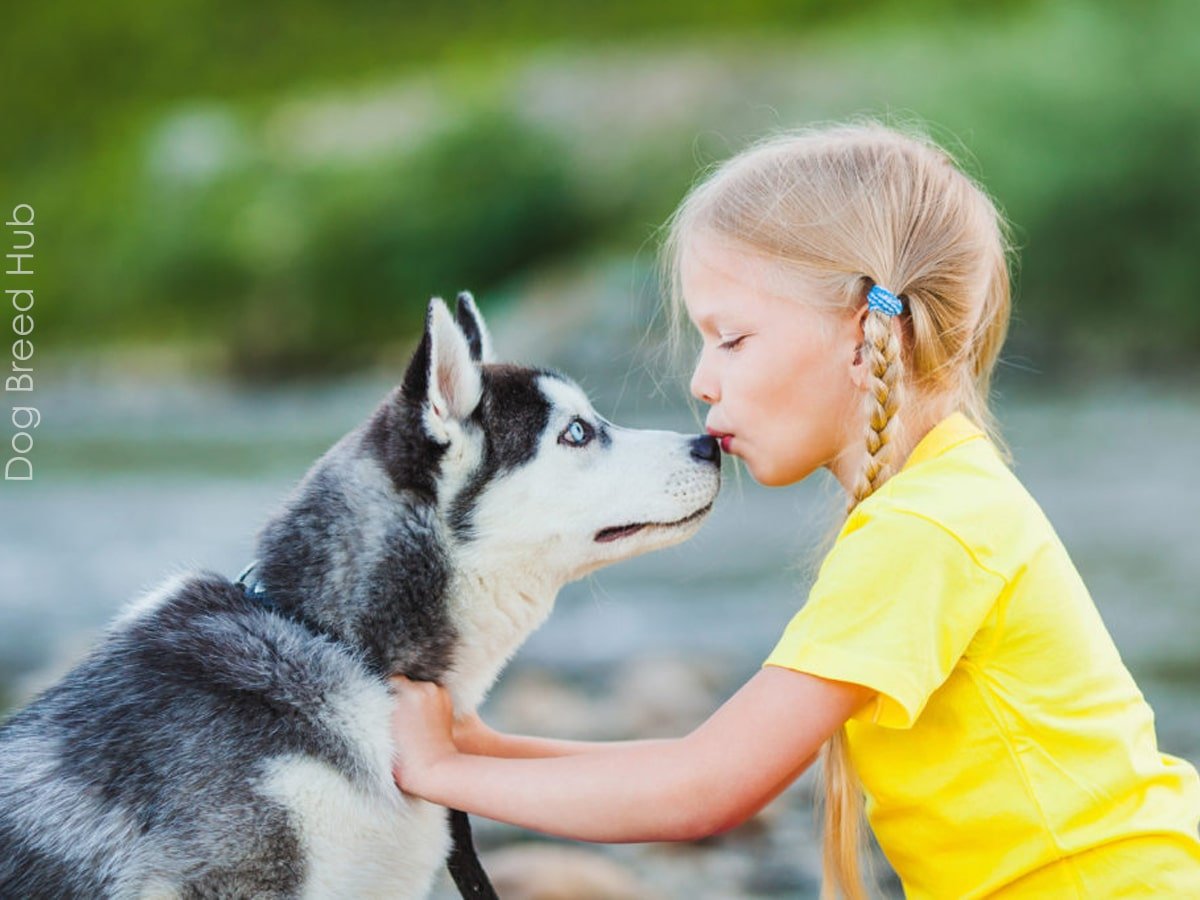 Are Huskies Good with Kids