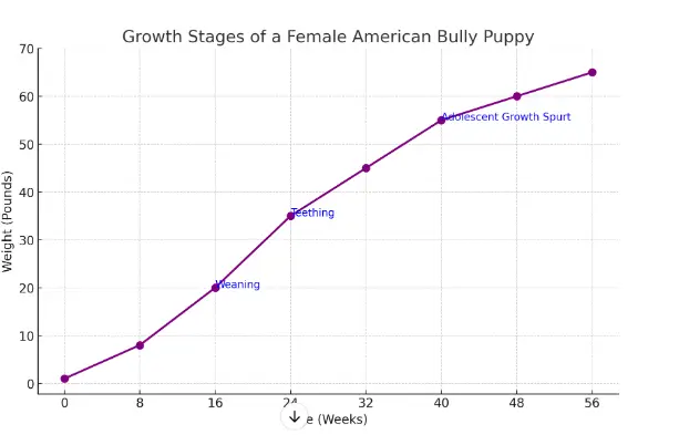 growth chart of female bully