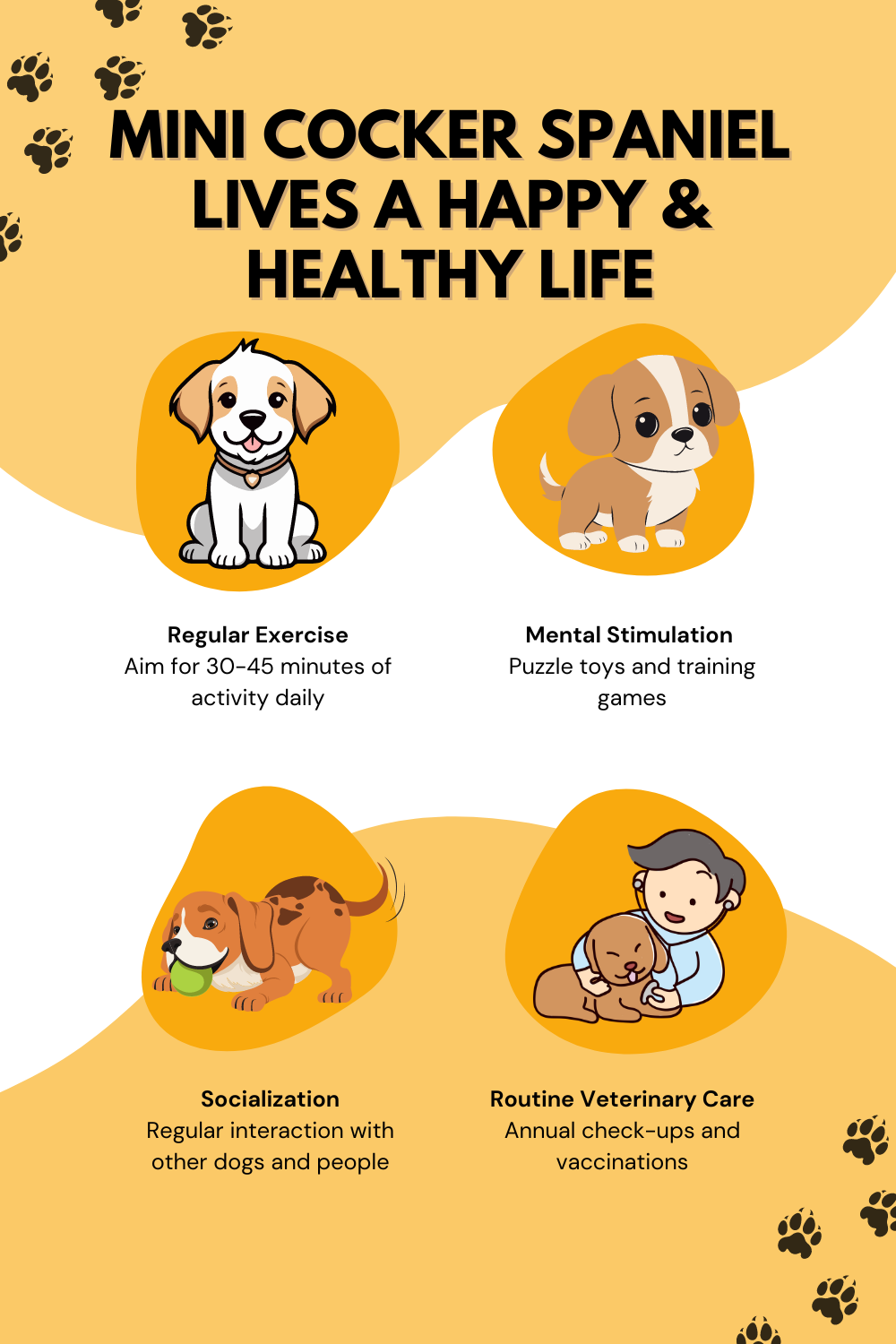 How Can You Ensure Your Mini Cocker Spaniel Lives a Happy, Healthy Life?