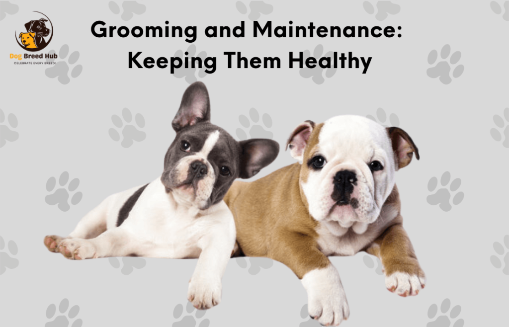 Grooming and Maintenance: Keeping Them Healthy