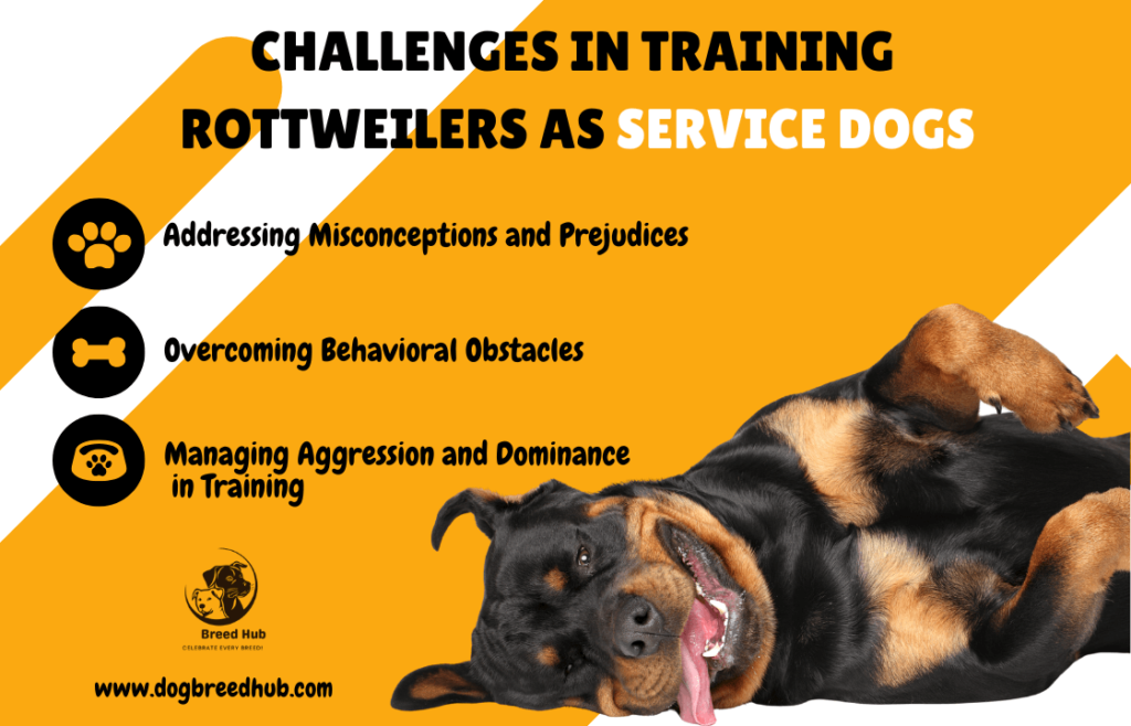 Challenges in Training Rottweilers as Service Dogs