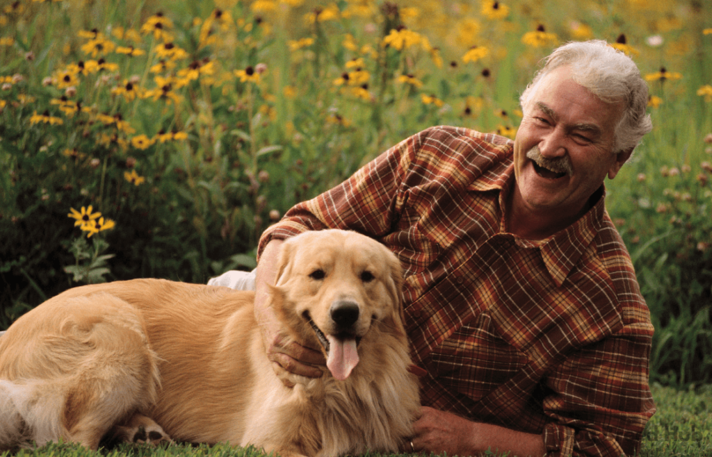 Adoption and Rehoming Options for Senior Dogs