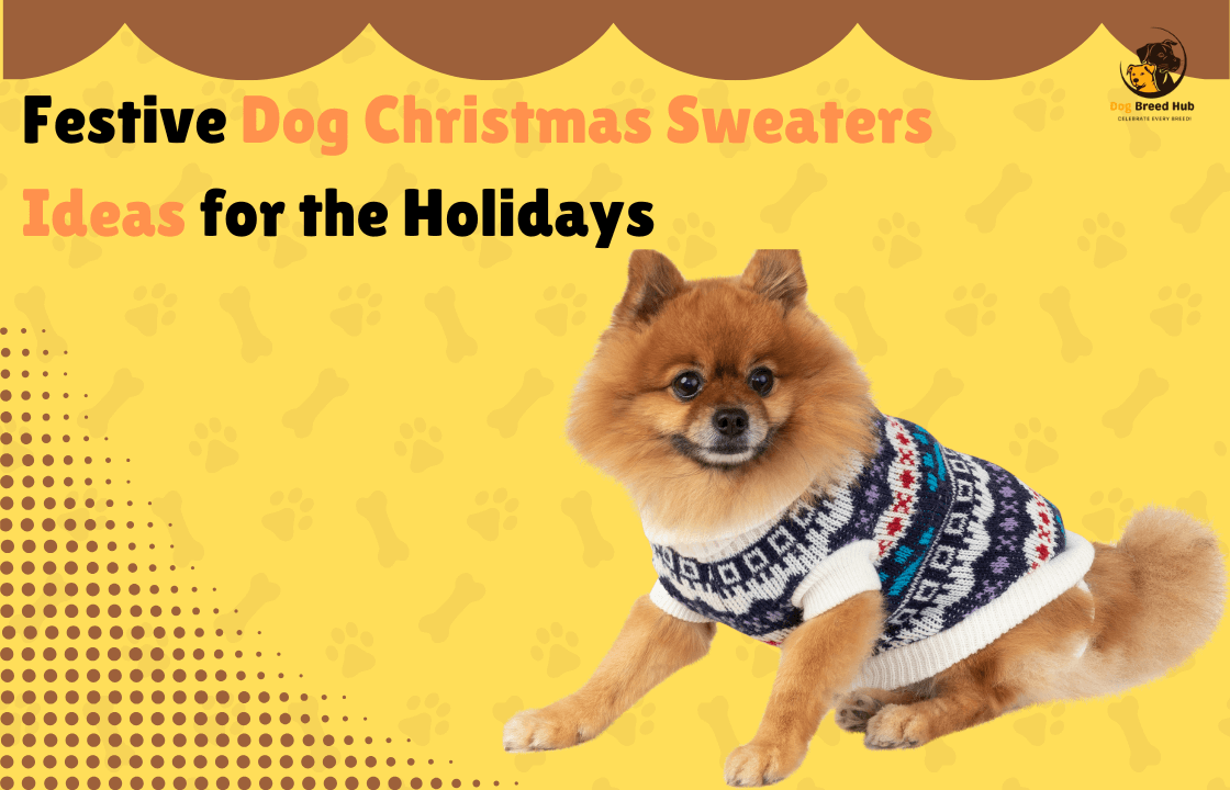 The Top 5 Dog Christmas Sweaters for 2024