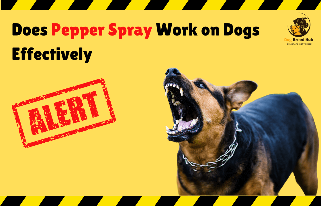 Does Pepper Spray Work on Dogs Effectively