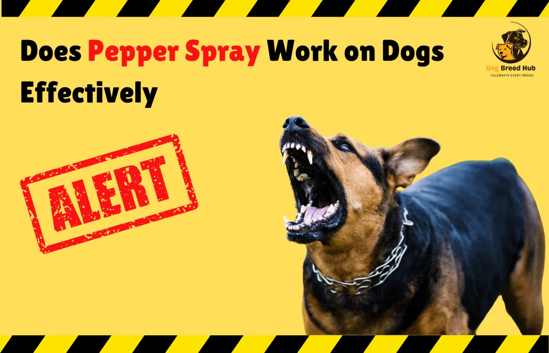 Does Pepper Spray Work on Dogs Effectively